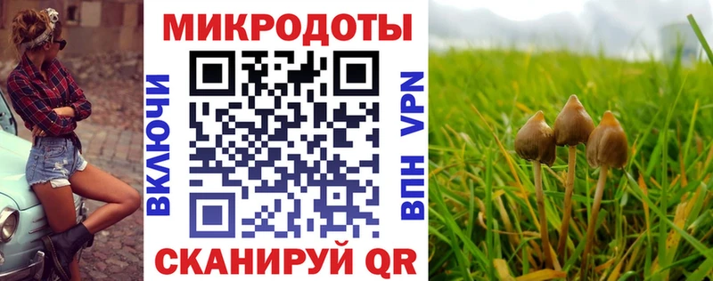 Псилоцибиновые грибы Cubensis  Рязань 